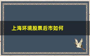 “上海环境股票后市如何操作